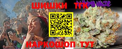 тгк Дубна