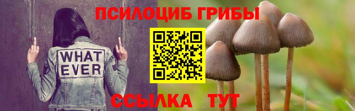 Тюмень  Псилоцибиновые грибы ЛСД  Вход с VPN 